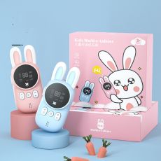 Door Intercom